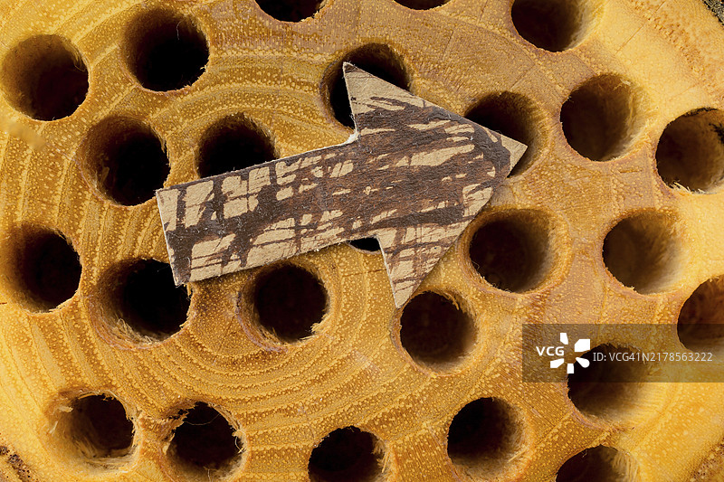 木桩上的棕色纸箭头图片素材