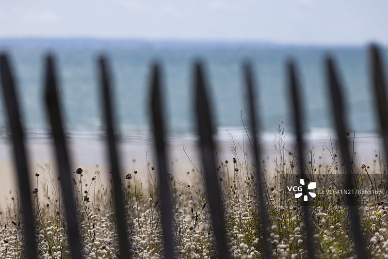 法国诺曼底芒什省科唐坦港口海滩沙丘景观图片素材