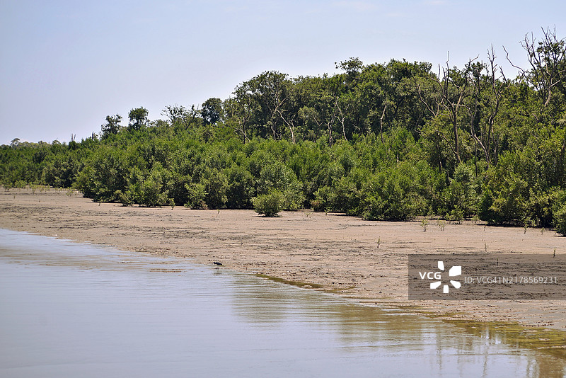 里约热内卢的红树林，位于瓜拉提巴地区，拥有森林、沙滩和海洋。图片素材