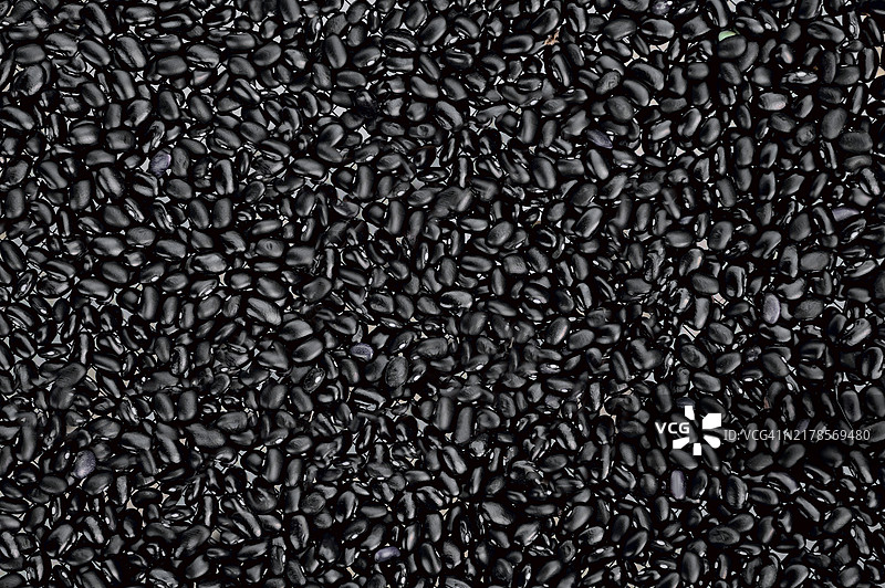 黑豆在表面上，来自种植园的生豆图片素材