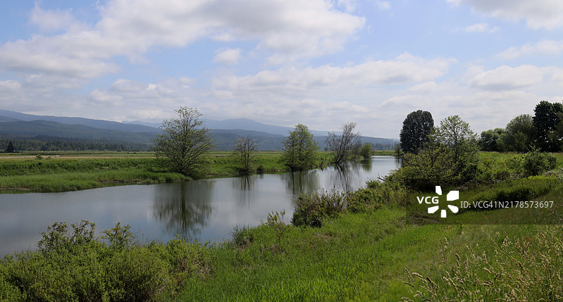 宁静的乡村风景，河流与草地相伴图片素材