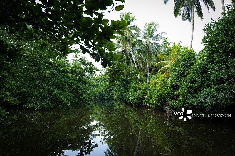 森林中的湖泊美景图片素材