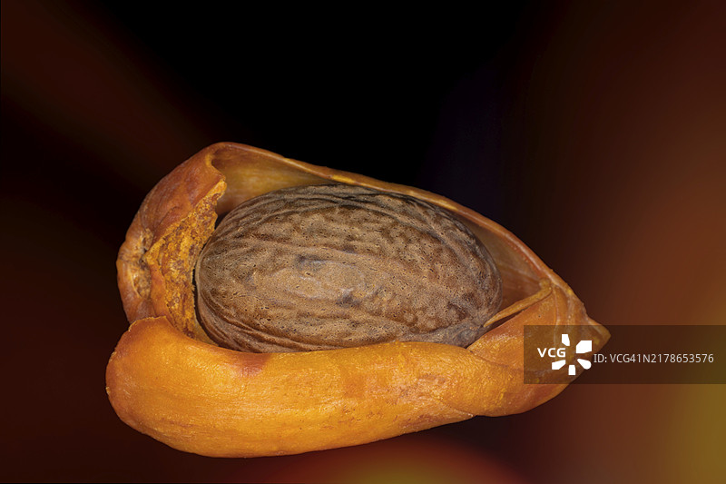 黑色背景下的肉豆蔻干籽，工作室拍摄图片素材