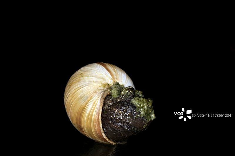 香草蒜蓉黄油条纹罗马蜗牛，黑色背景图片素材