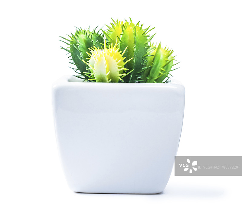 白色陶瓷盆栽的塑料假仙人掌图片素材