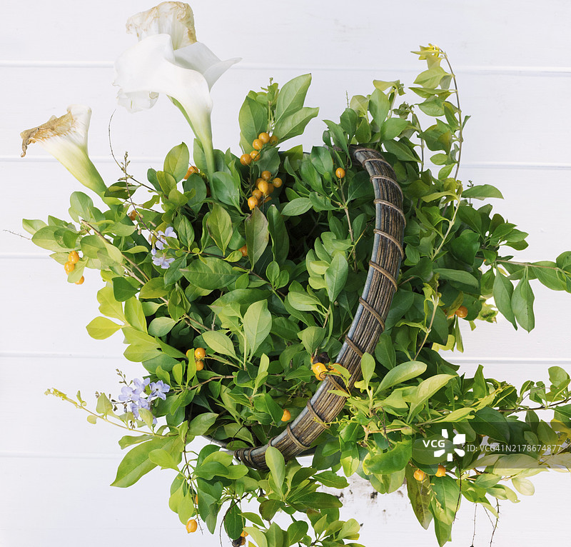 绿色植物树枝花卉篮子图片素材