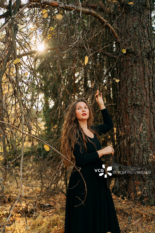 万圣节森林里的黑裙女巫图片素材