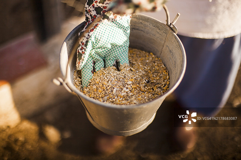 手提饲料桶的人图片素材