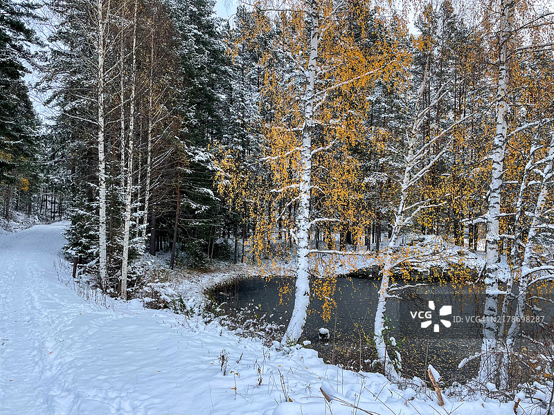 初冬时节，树木仍有秋叶，湖边泥路图片素材