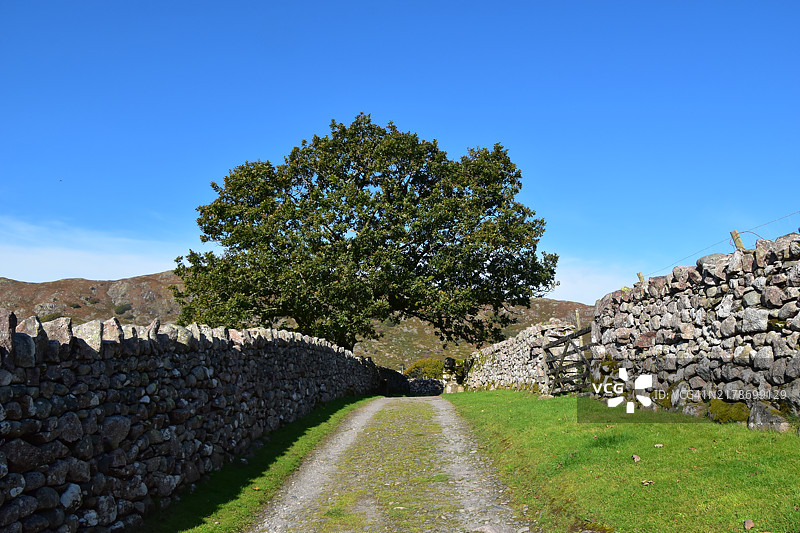 埃斯克代尔的秋天图片素材