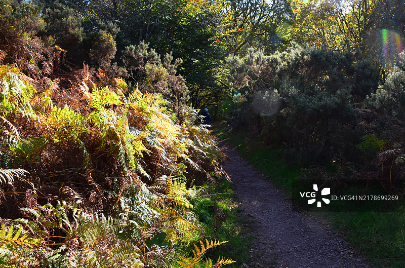 坎布里亚郡埃斯克代尔风光图片素材