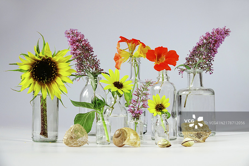 眼镜、豆瓣菜和向日葵静物，德国，欧洲图片素材