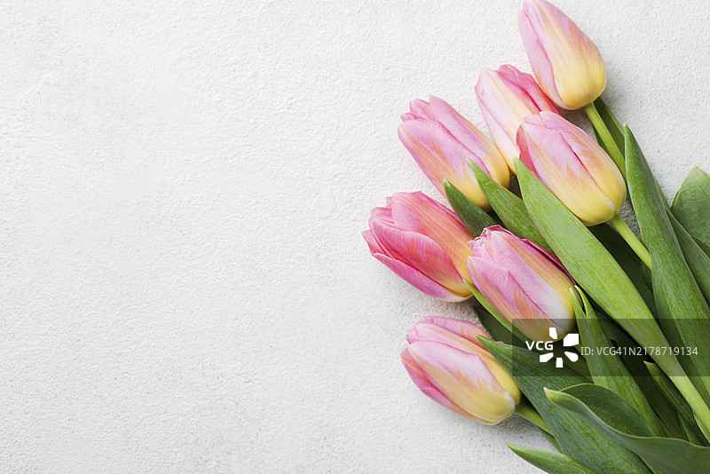郁金香花束留白区域图片素材