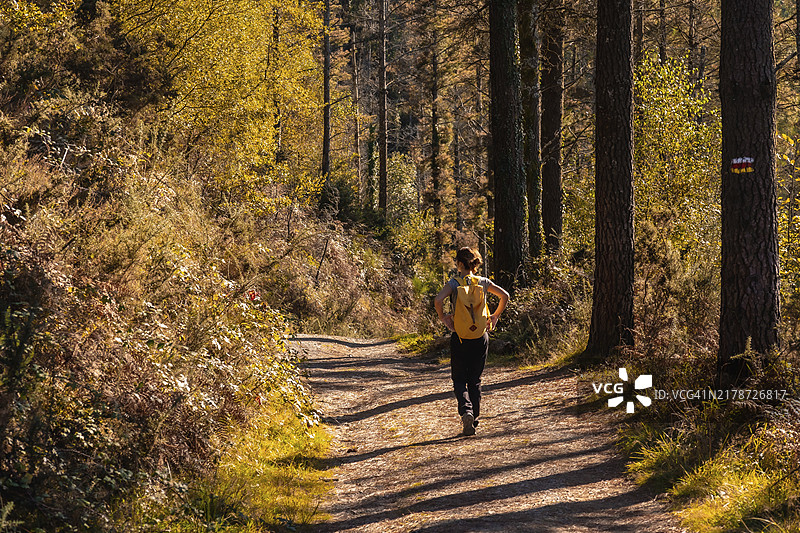 秋日森林徒步：亲近大自然的年轻徒步者图片素材