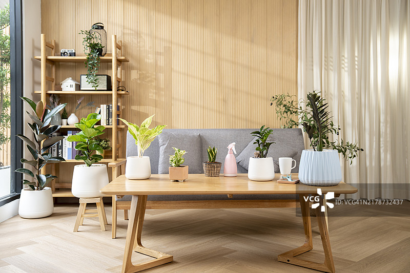 现代时尚明亮的客厅图片素材