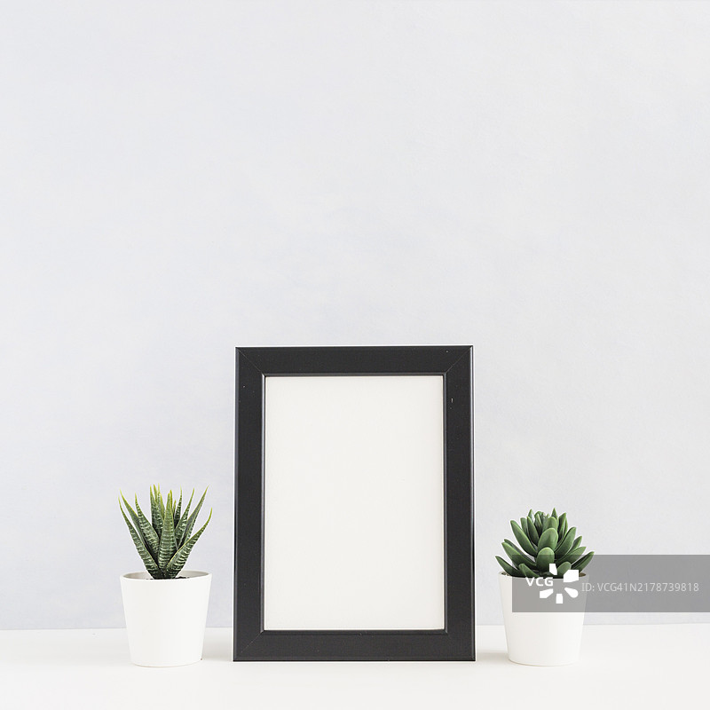 白色背景下的盆栽仙人掌和相框桌面图片素材
