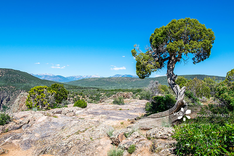 Gunnison国家公园的黑色峡谷，蒙特罗斯，科罗拉多州，美国图片素材