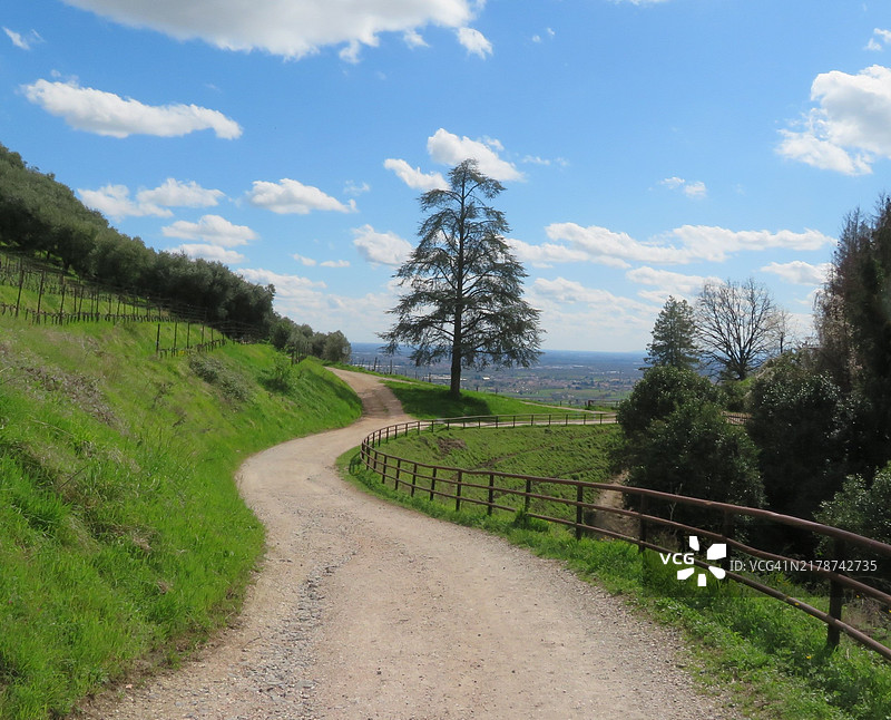 空旷的道路旁边是植物和树木，背景是天空图片素材