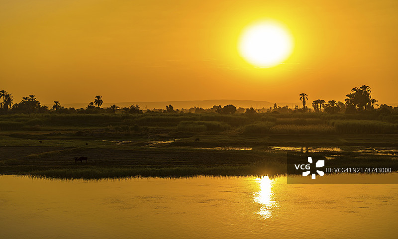 埃及尼罗河游轮日落全景图片素材