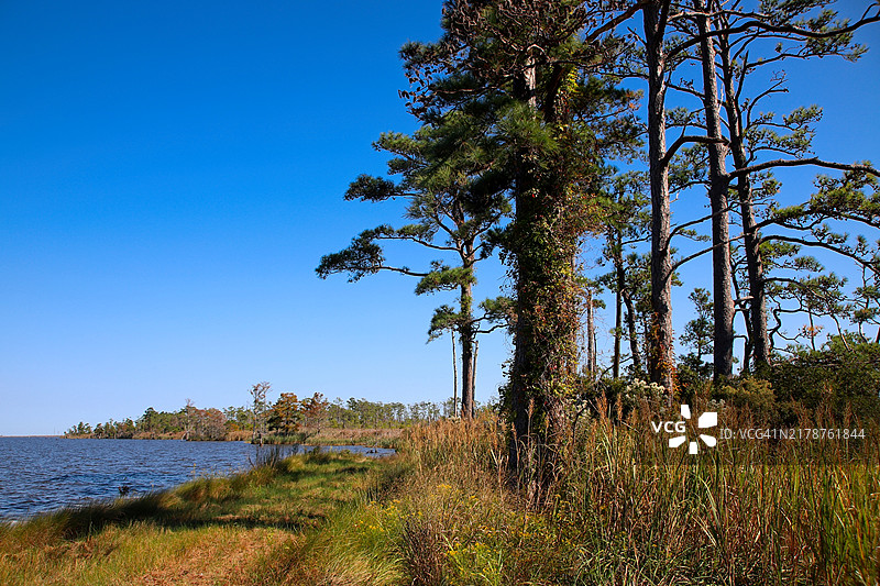 麦凯岛国家野生动物保护区海岸线图片素材