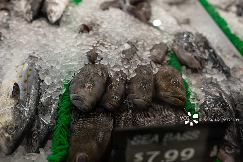 干净的市场柜台上，冰块上摆放的鲜鱼图片素材
