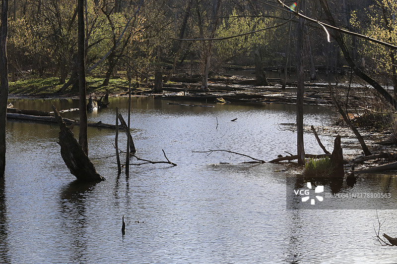 乡村三角洲地区图片素材