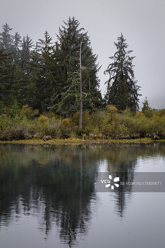 阿尔伯尼港维多利亚码头图片素材