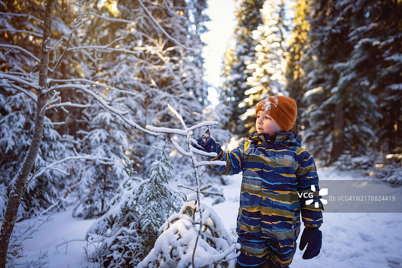 小男孩在雪山上享受无忧无虑的冬日时光图片素材