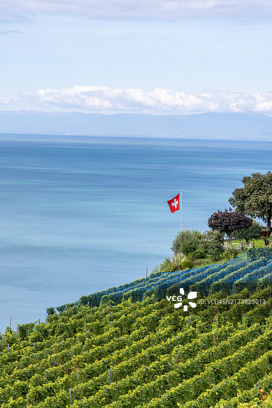 日内瓦湖畔葡萄园上方的瑞士国旗图片素材