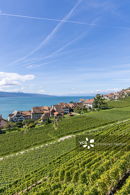 俯瞰湖泊和山景的葡萄园和村庄图片素材