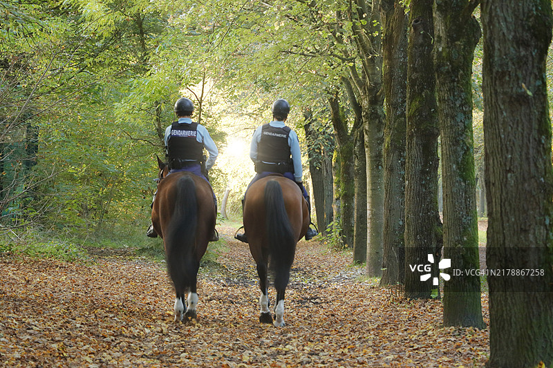 法国万森森林公园图片素材