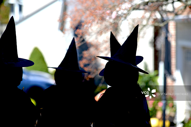 自制万圣节女巫图片素材