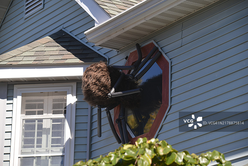 自制万圣节巨型蜘蛛图片素材