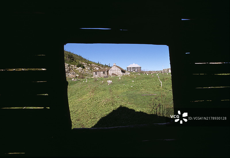 纽芬兰电影场景图片素材