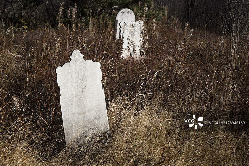 荒芜的乡村墓地图片素材