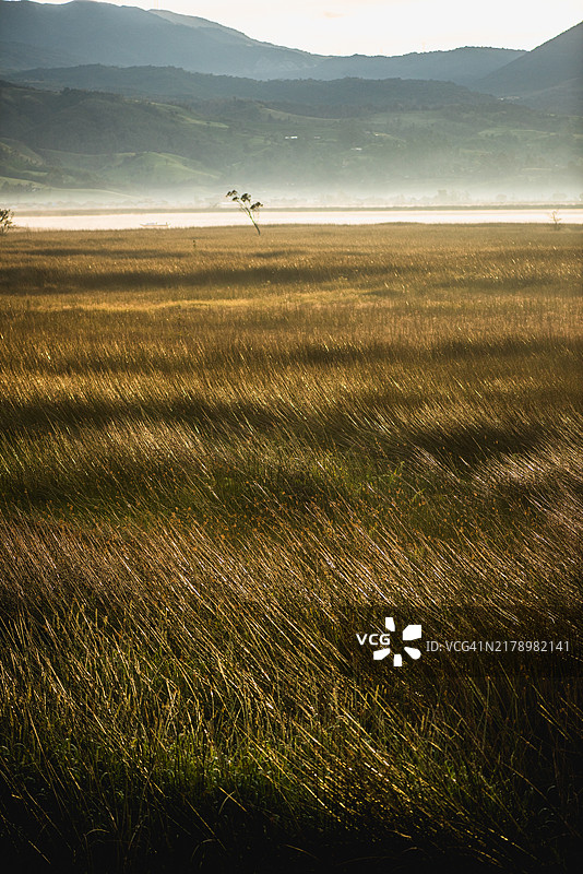 湿地的风景图片素材