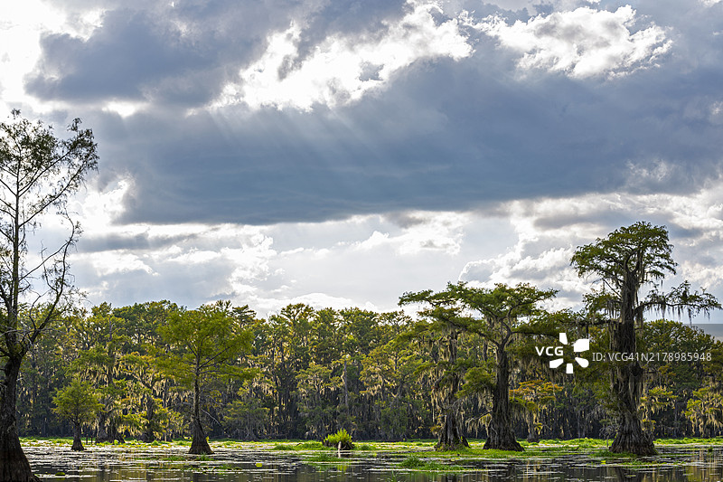 德克萨斯州卡纳克的卡多湖柏树，阳光穿透戏剧性的云层图片素材