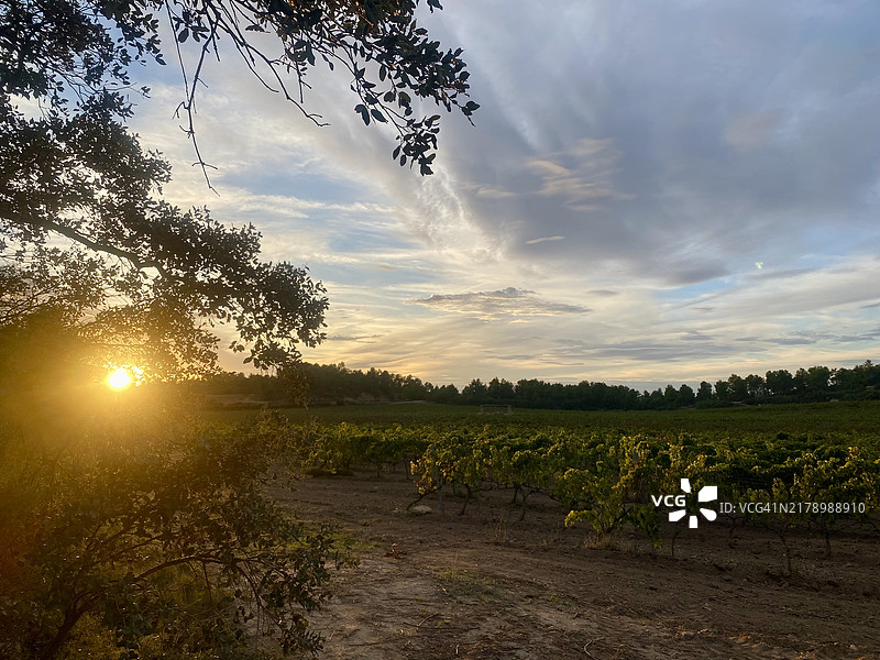 日落时分，天空映衬下的田野美景，特鲁埃尔，西班牙图片素材