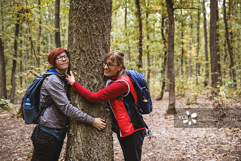 女朋友们在森林里拥抱一棵老树图片素材