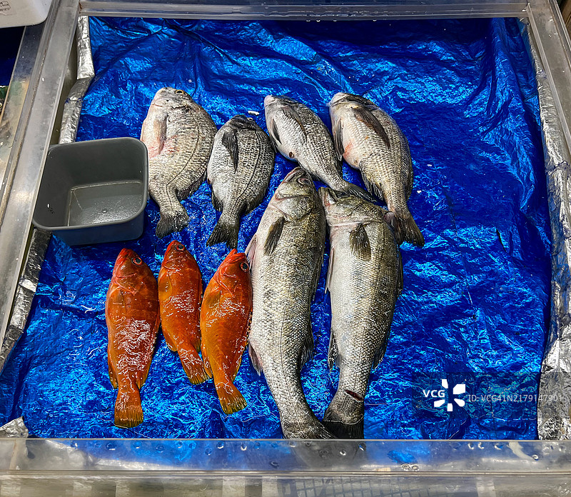 海鲜市场蓝色背景上的新鲜什锦鱼图片素材