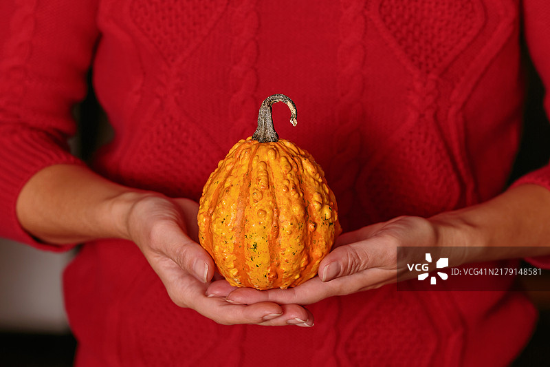 拿着小装饰南瓜的红衣毛衣女子图片素材