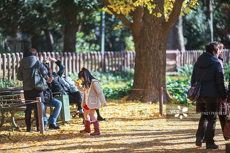 东京的秋季氛围图片素材
