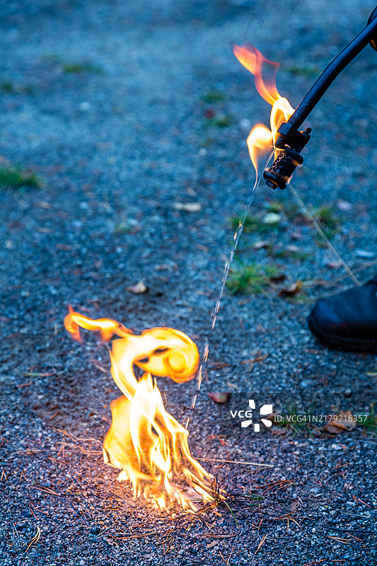 混交北方森林的控制燃烧图片素材