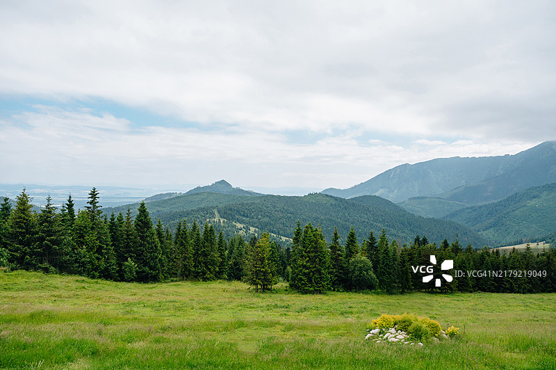 自然风光的风景，绿山、丘陵和森林图片素材