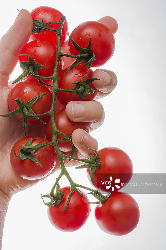 手里拿着的一堆红色成熟美味的樱桃番茄图片素材