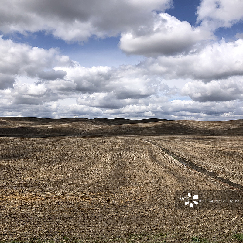 华盛顿州帕卢斯的光秃泥土地图片素材