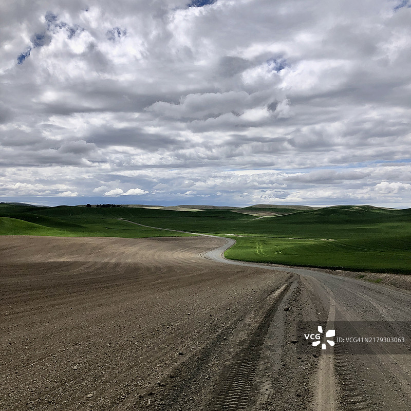 穿过帕卢斯田野的土路图片素材