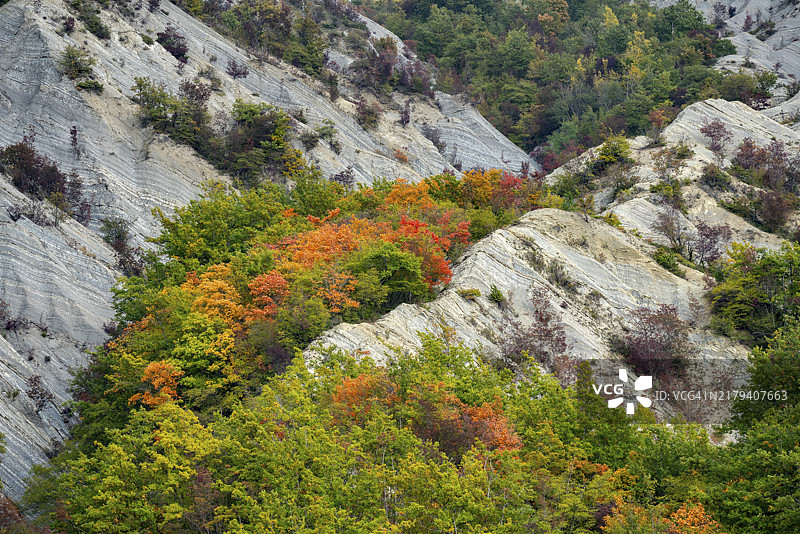 卡森蒂内西森林国家公园，恶地，亚平宁山脉，意大利托斯卡纳图片素材