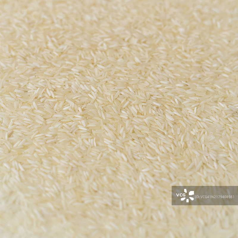 白色大米背景高空景观图片素材
