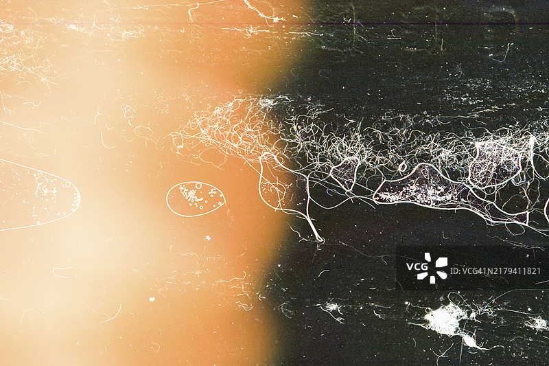 抽象光效背景（二）：精美照片图片素材